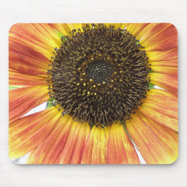 Orange Sonnenblumenmousepad Mousepad (Vorne)