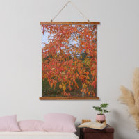 Orange Sourwood Blätter Botanical