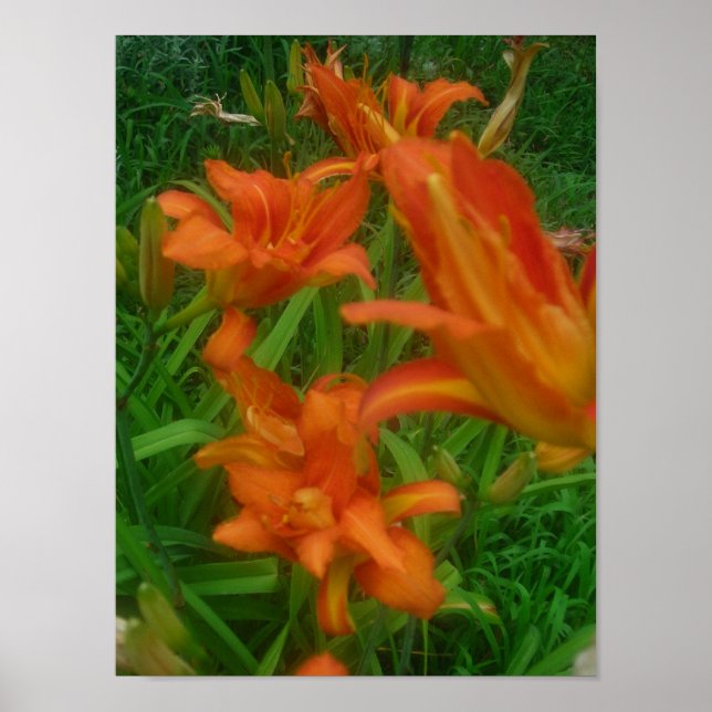 Orange-Splash Poster (Vorne)