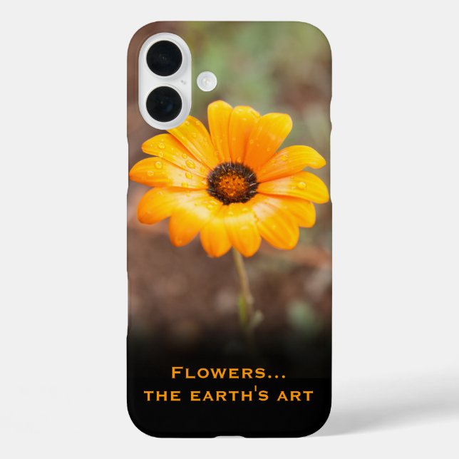 Orange Spring Flash African Daisy Foto Custom iPhone 16 Plus Hülle (Rückseite)