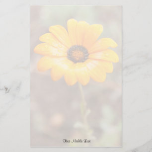 Orange Spring Flash African Daisy Foto Template Briefpapier