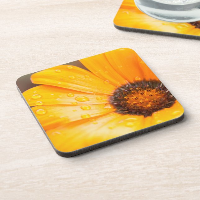 Orange Spring Flash African Daisy Nah Up Foto Getränkeuntersetzer (Linke Seite)