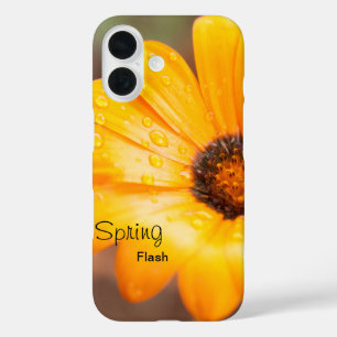 Orange Spring Flash Afrikanische Daisy Foto Custom title_seo2