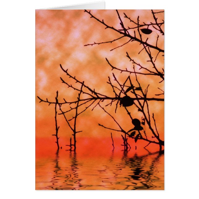 Orange Squasun Card (Vorne)