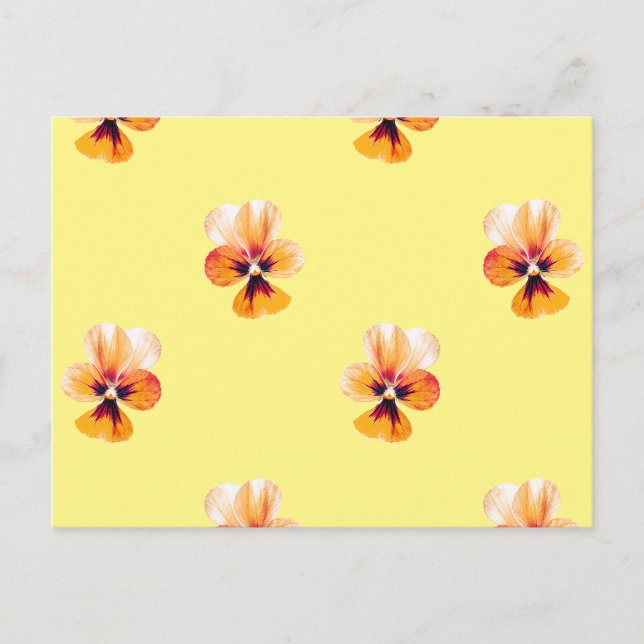 orange Stiefmütterchen Postkarte (Vorderseite)