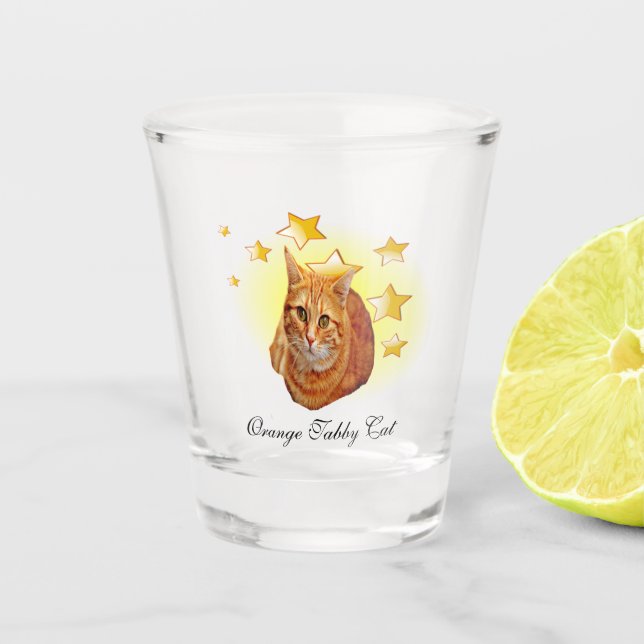 Orange Striped Tabby Cat ist ein Star Schnapsglas (Vorderseite)