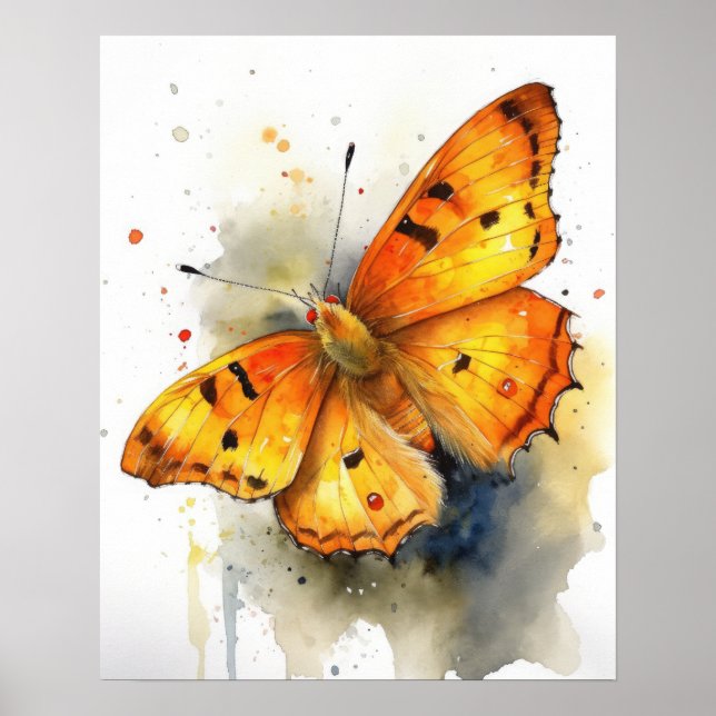 Orange Sulfur Butterfly Art Print Poster (Vorne)