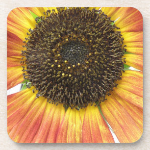 Orange Sunflower Cork Untersetzer