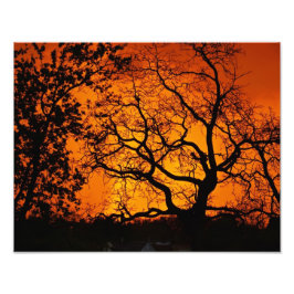 Orange Sunset Fotodruck