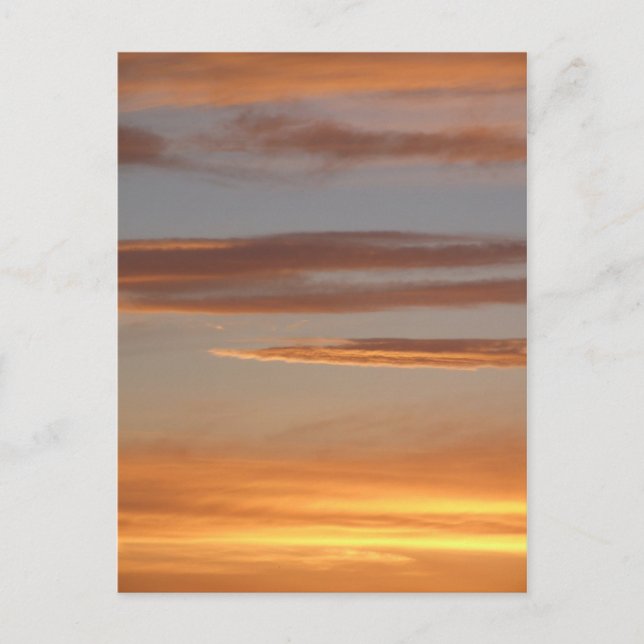 Orange Sunset Postcard Postkarte (Vorderseite)