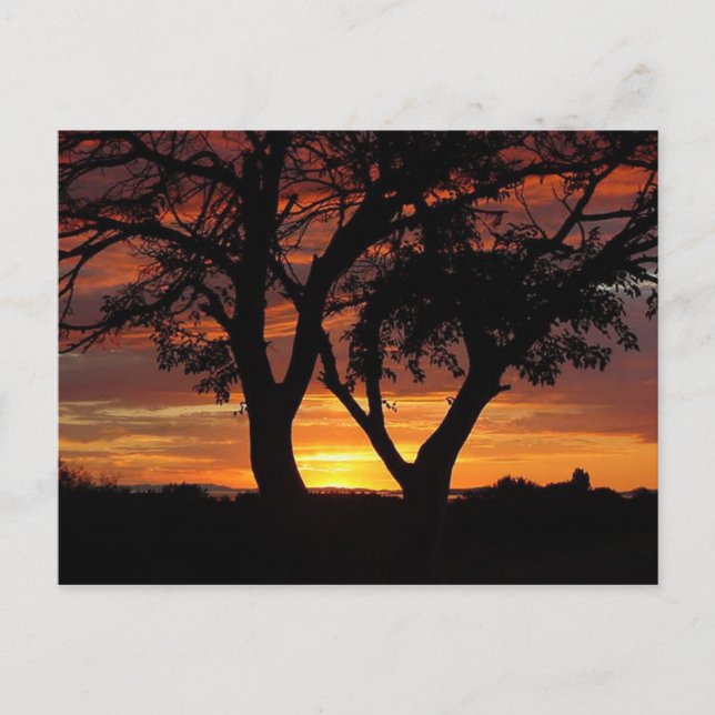Orange Sunset Postkarte (Vorderseite)