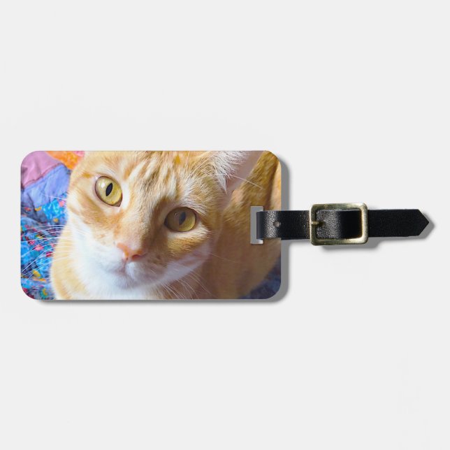Orange Tabby auf Steppdecke Gepäckanhänger (Vorderseite horizontal)