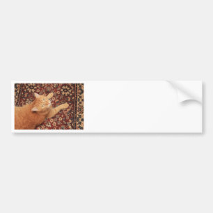 Orange Tabby Autoaufkleber