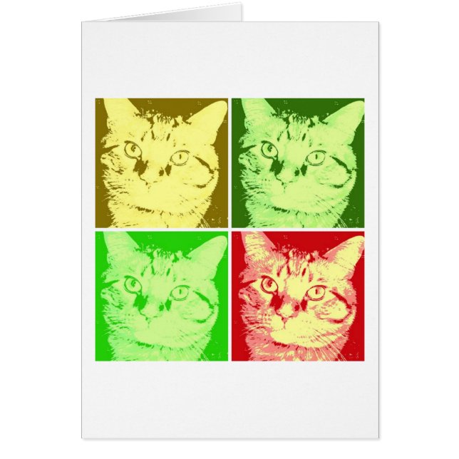 Orange Tabby Cat (Vorne)