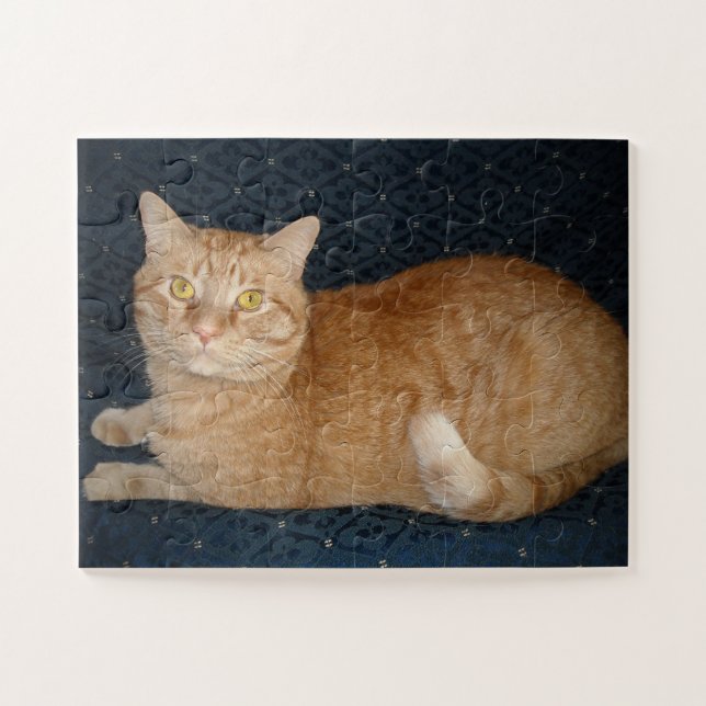 Orange Tabby Cat (Horizontal)
