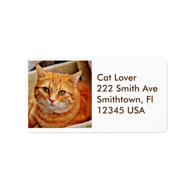 Orange Tabby Cat Address Label Adressaufkleber (Vorne)