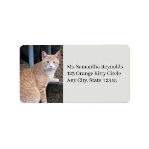 Orange Tabby Cat Address Labels Adressaufkleber