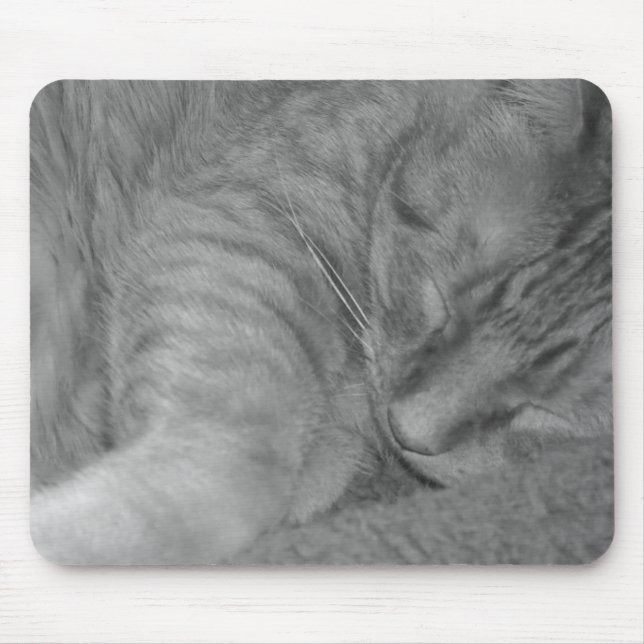 Orange Tabby Cat/Black & White Foto Mousepad (Vorne)