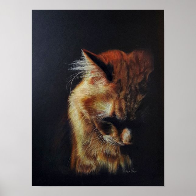 Orange Tabby Cat "Bleibe Strong" Farbige Stifte Ku Poster (Vorne)