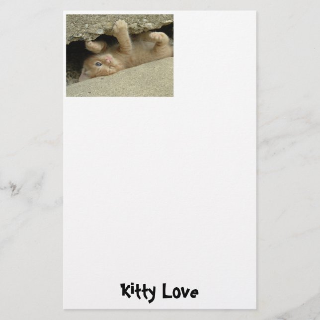 Orange Tabby Cat Briefpapier (Vorderseite)