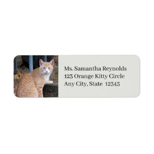 Orange Tabby Cat - Étiquettes d'adresse de retour