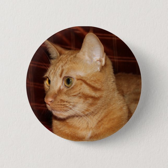 Orange Tabby Cat Face Profil Button (Vorderseite)
