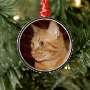 Orange Tabby Cat Face Profil Ornament Aus Metall