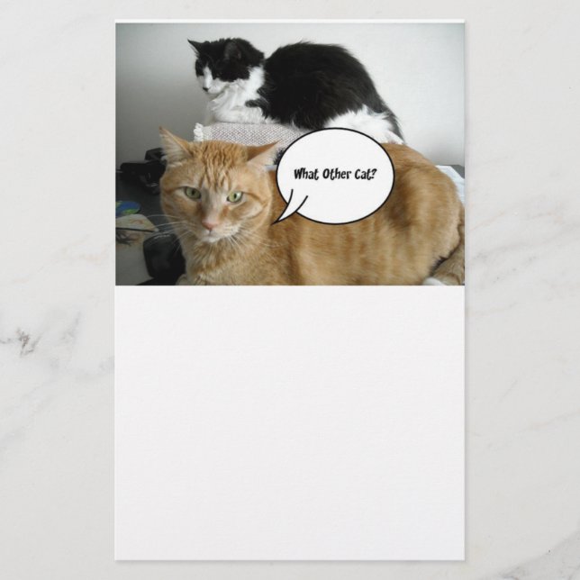 Orange Tabby Cat Ich bin leider Briefpapier (Vorderseite)