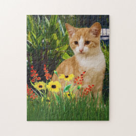 Orange Tabby Cat im Blumengarten Tierfreunde
