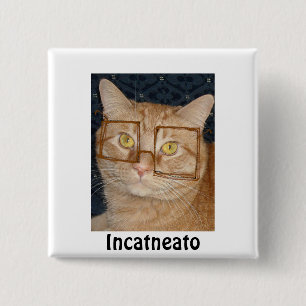 Orange Tabby Cat/Inkognito Button