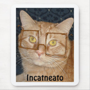 Orange Tabby Cat/Inkognito Mousepad