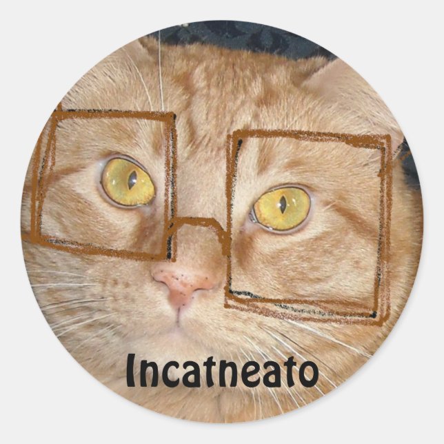 Orange Tabby Cat/Inkognito Spaß Runder Aufkleber (Vorderseite)
