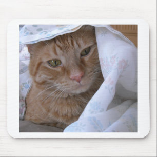 Orange Tabby Cat Mousepad