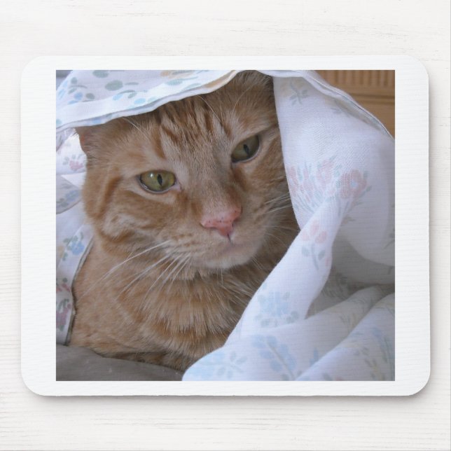 Orange Tabby Cat Mousepad (Vorne)