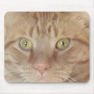 Orange Tabby Cat Mousepad