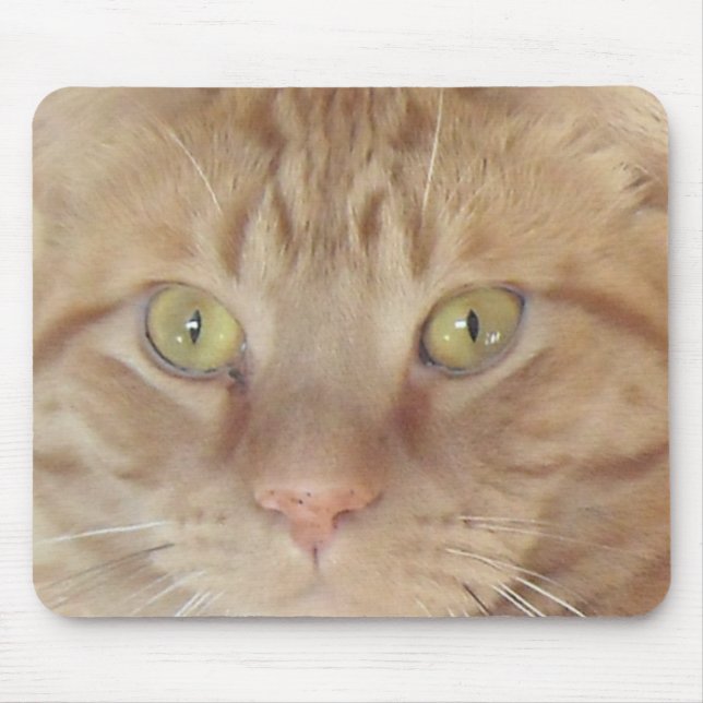 Orange Tabby Cat Mousepad (Vorne)