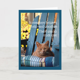 Orange Tabby Cat on Blue Chair  Card Karte
