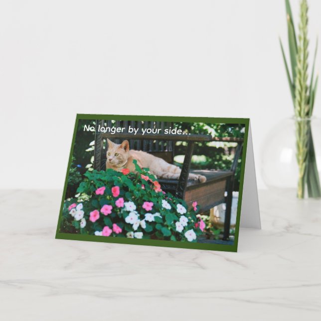 Orange Tabby Cat on Garden Benz Beileid Karte (Vorderseite)