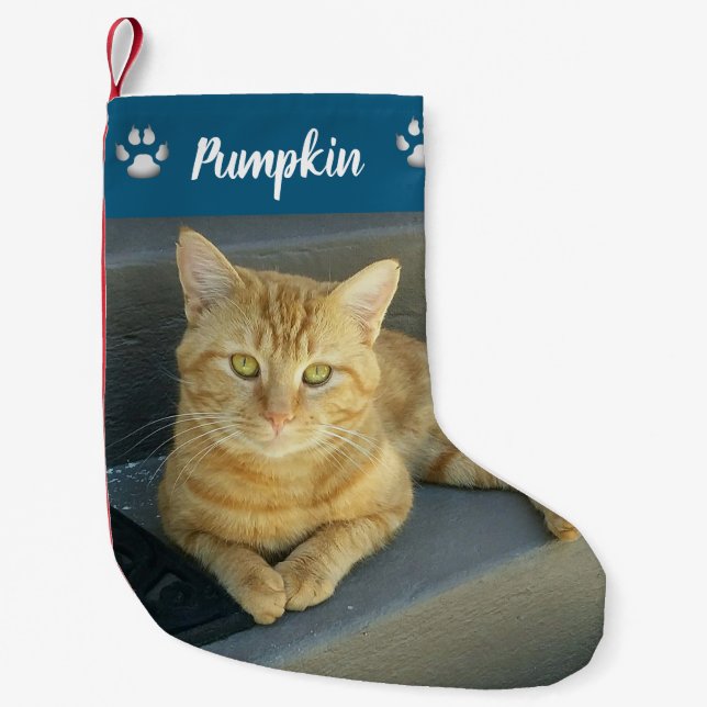 Orange Tabby Cat Pet Foto Blue Personalisiert Kleiner Weihnachtsstrumpf (Vorderseite)