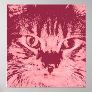 Orange Tabby Cat Poster