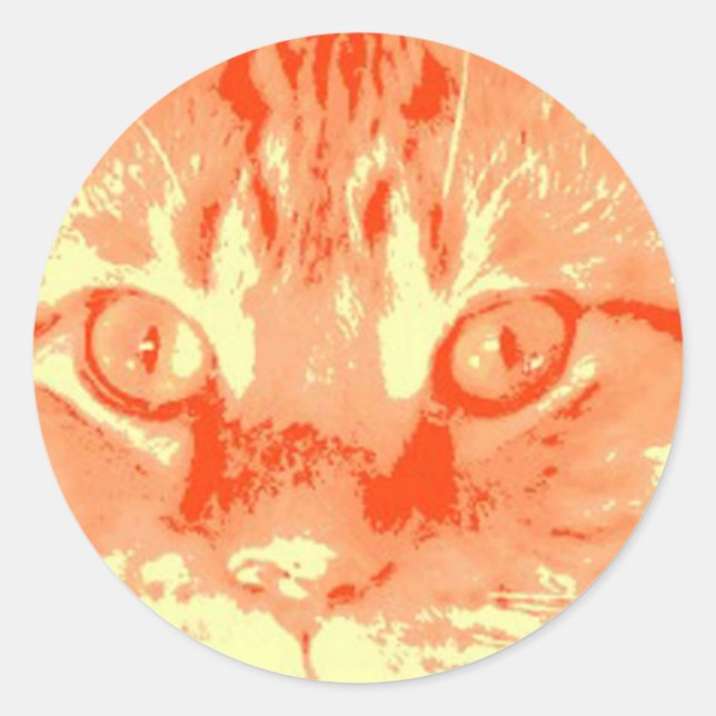 Orange Tabby Cat Runder Aufkleber (Vorderseite)