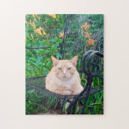 Orange Tabby Cat Sitzen im Foto