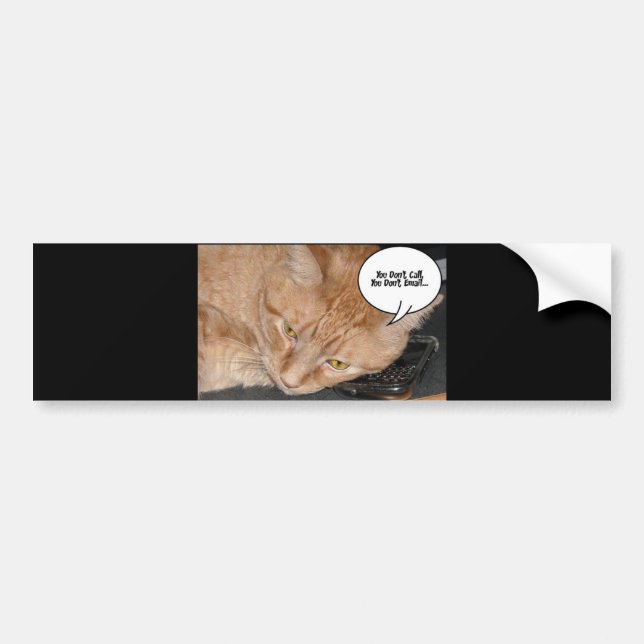 Orange Tabby Cat Spaß/Handy Autoaufkleber (Vorne)