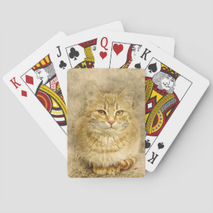 Orange Tabby Cat Spielkarten