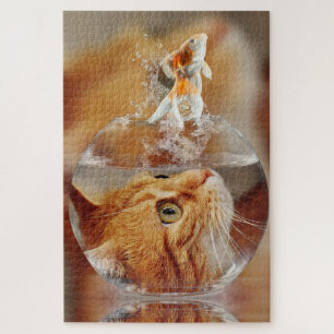 Orange Tabby Cat und Goldfish