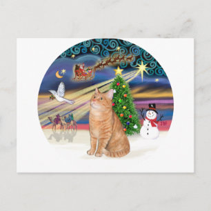 Orange Tabby Cat - Weihnachtsmagie Feiertagspostkarte