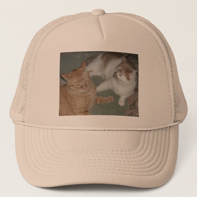 Orange Tabby Cats Truckerkappe (Vorderseite)