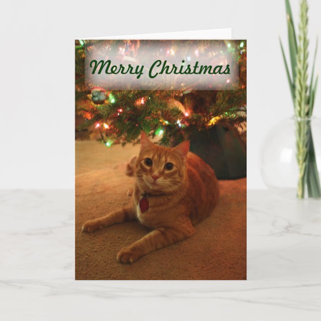 Orange Tabby Christmas Card Feiertagskarte (Vorderseite)