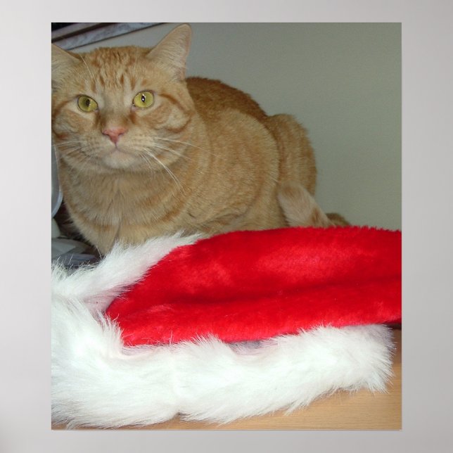 Orange Tabby Christmas Poster (Vorne)