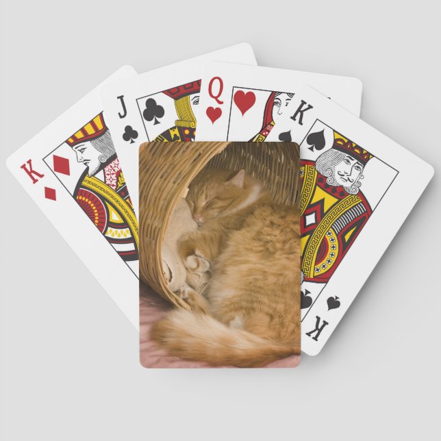 Orange Tabby, der in der Fessel schläft Spielkarten (Rückseite)